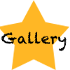 Gallery Button